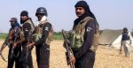 Punjab Police Kacha Operations