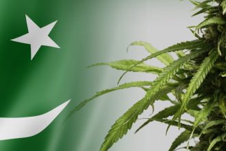 Cannabis Regulation Pakistan