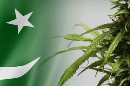 Cannabis Regulation Pakistan