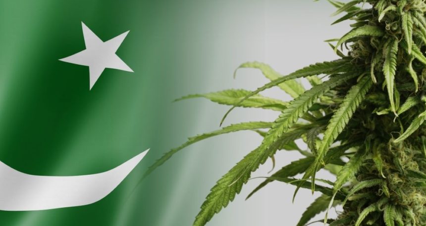 Cannabis Regulation Pakistan