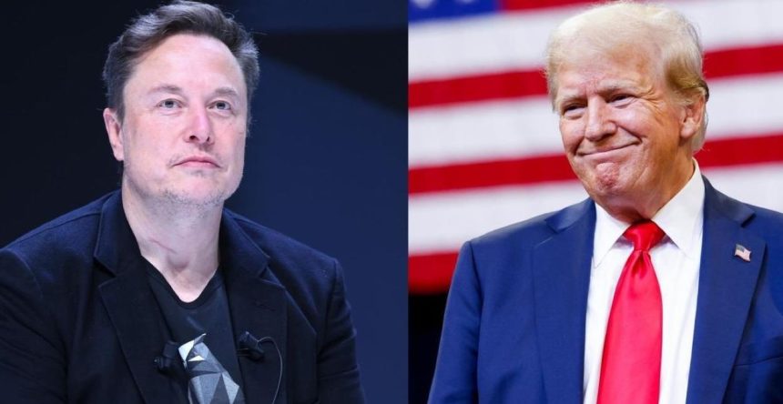 Elon Musk endorses Trump