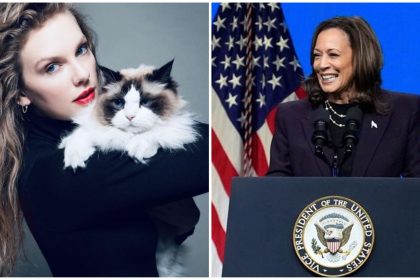 Taylor Swift Endorses Harris