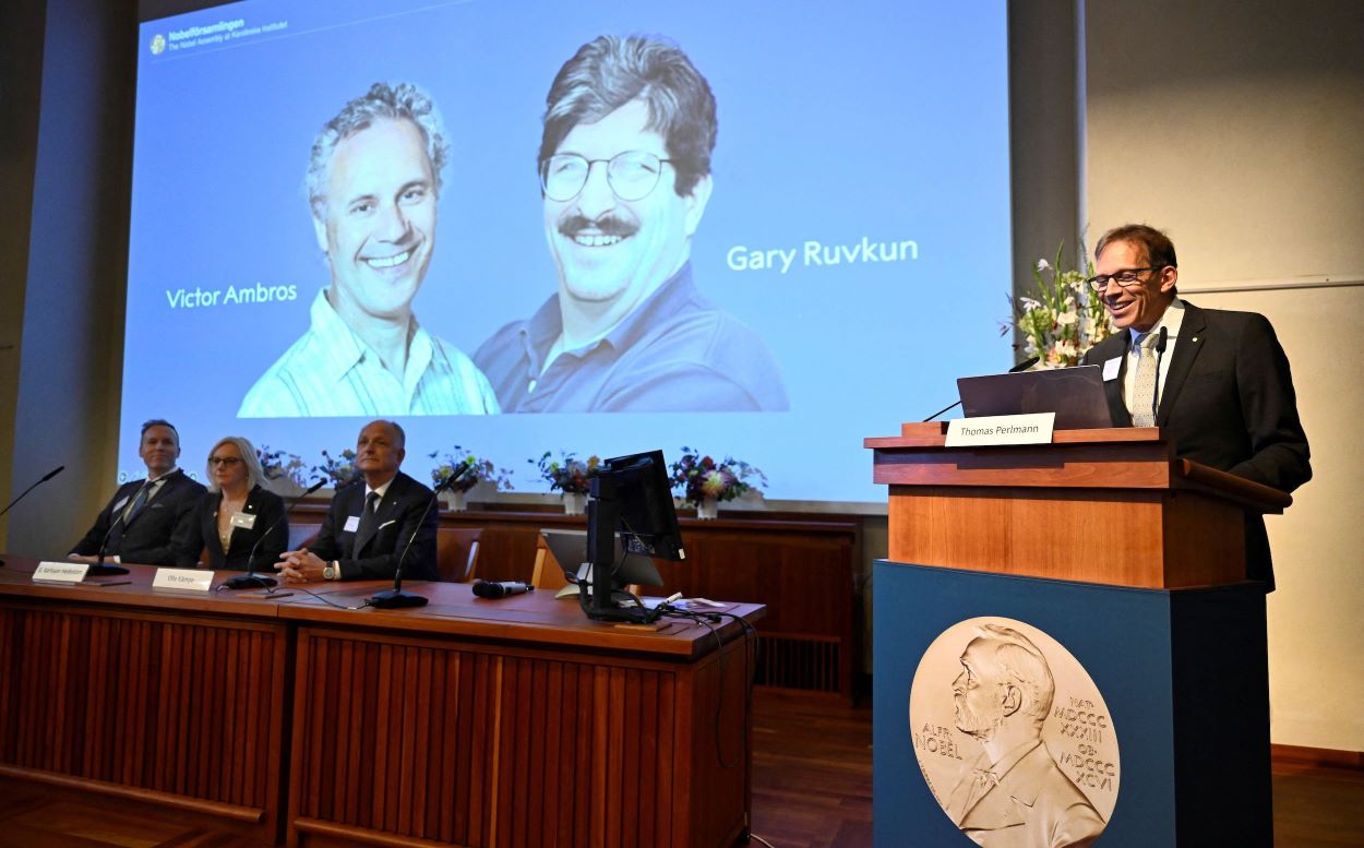 Nobel Prize 2024 US Scientists Win for Breakthrough in MicroRNA Research