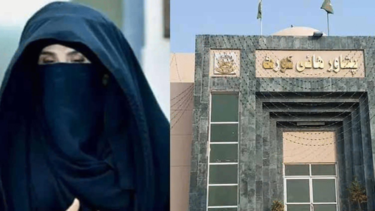 Bushra Bibi Protective Bail