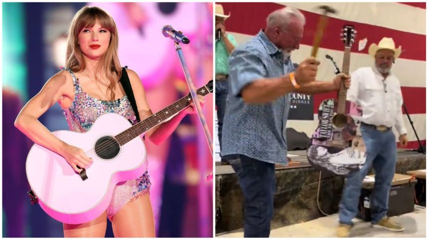 Taylor Swift Guitar Auction