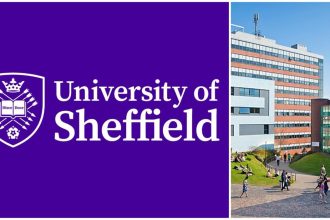 University of Sheffield's MSc in AI with Scholarships