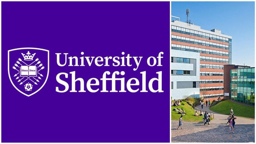 University of Sheffield's MSc in AI with Scholarships