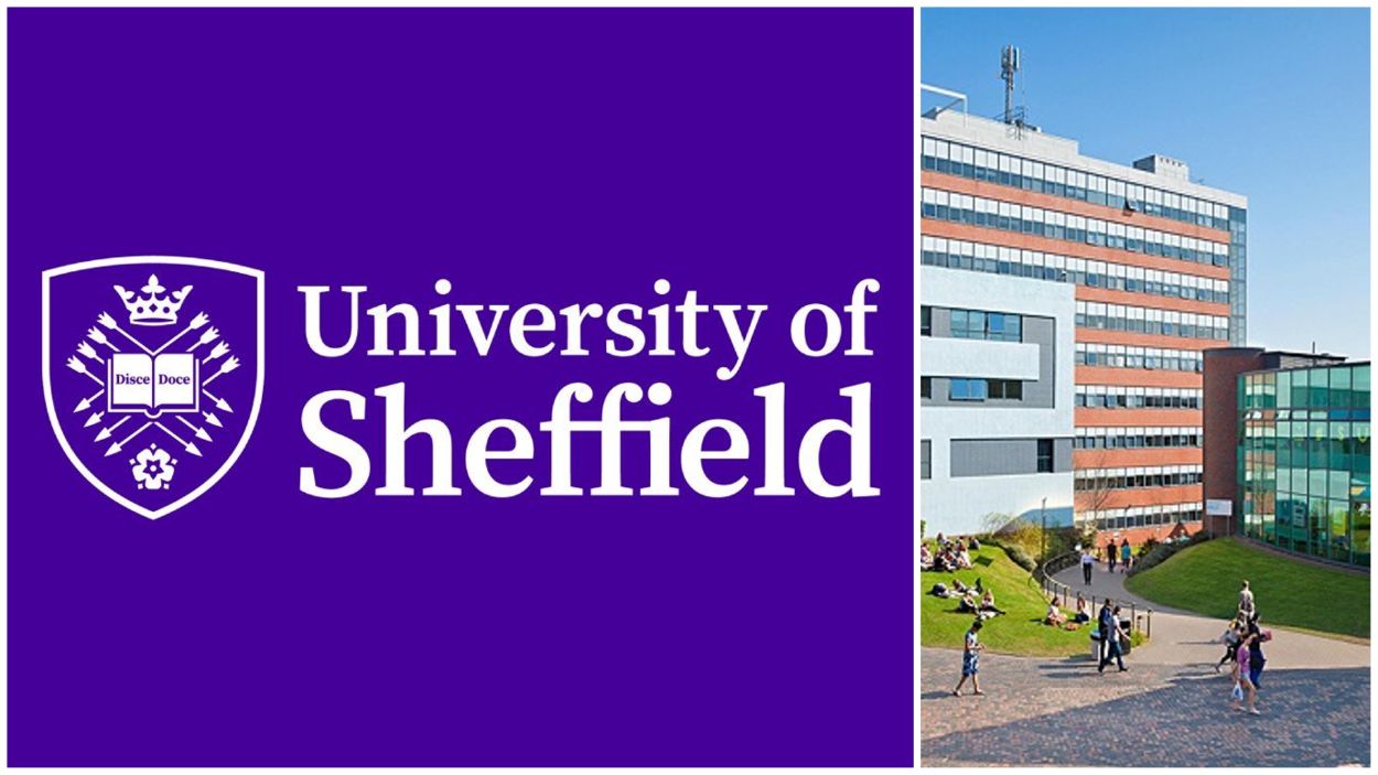 University of Sheffield's MSc in AI with Scholarships