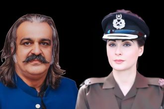 Ali Amin Gandapur, Maryam Nawaz in Apex Committee Meeting