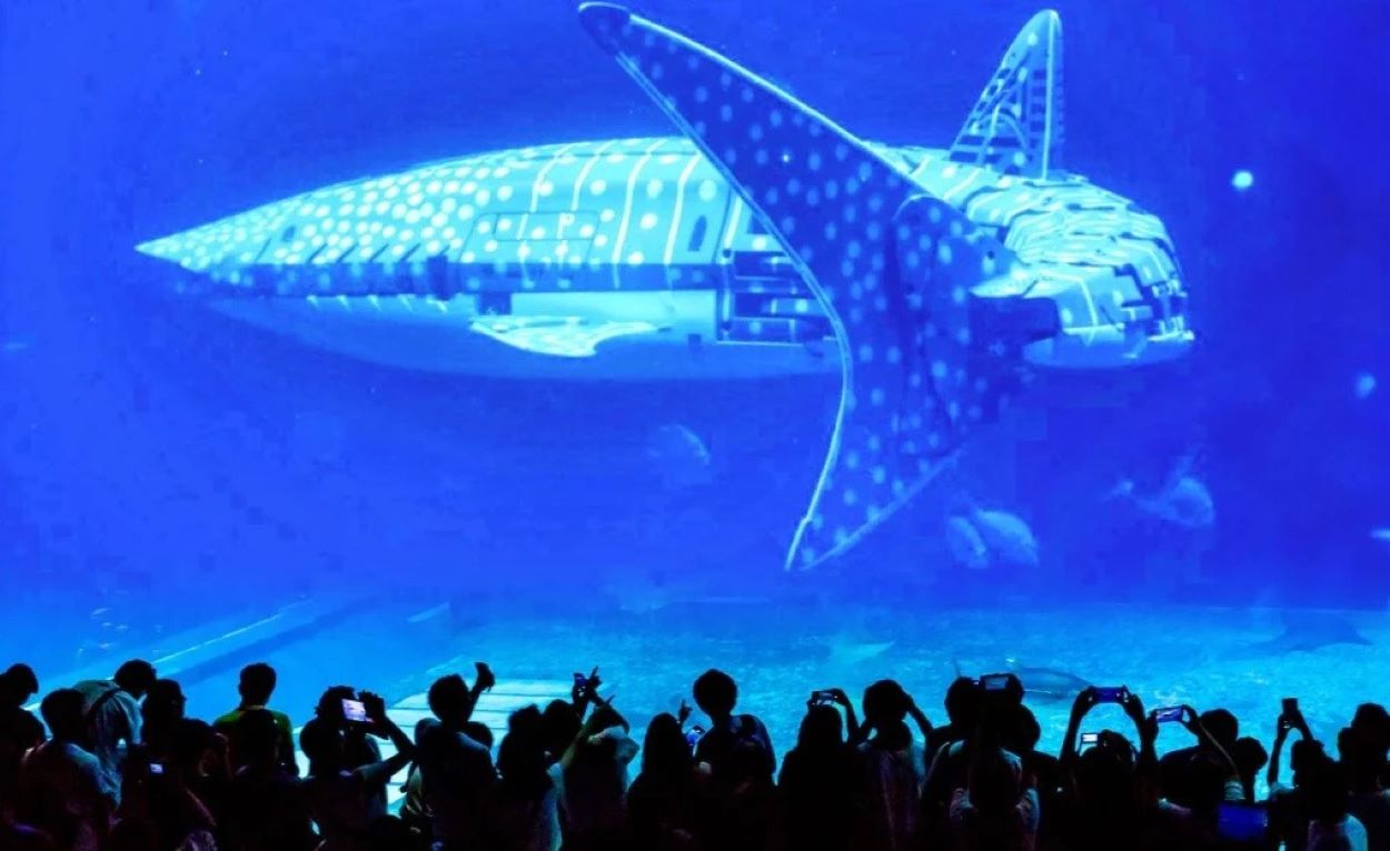 Robotic Whale Shark