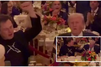 Trump Musk Thanksgiving at Mar-a-Lago