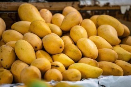 Pakistan Mango Industry Value Addition