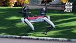 Robotic Dog Security at Donald Trump's Mar-a-Lago