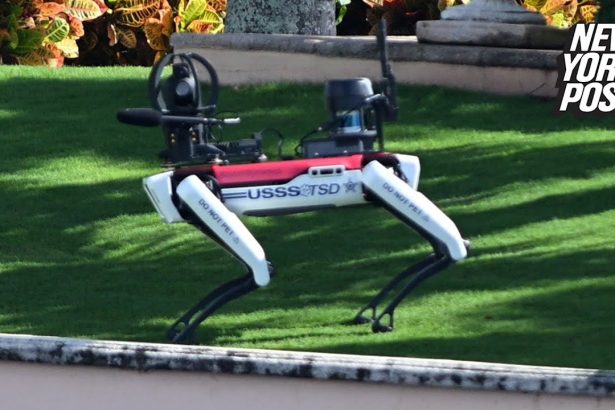 Robotic Dog Security at Donald Trump's Mar-a-Lago