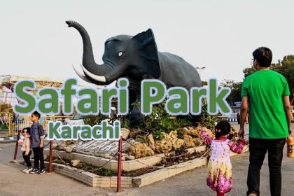 Karachi Safari Park Elephants