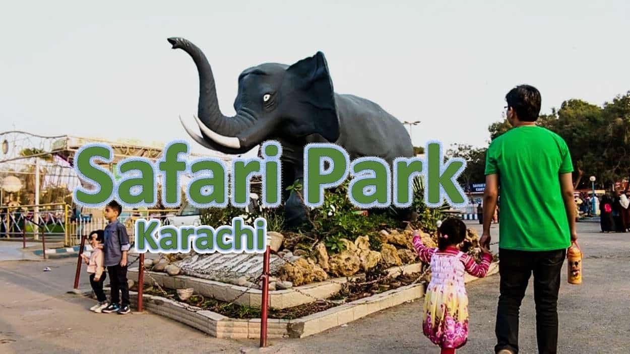 Karachi Safari Park Elephants