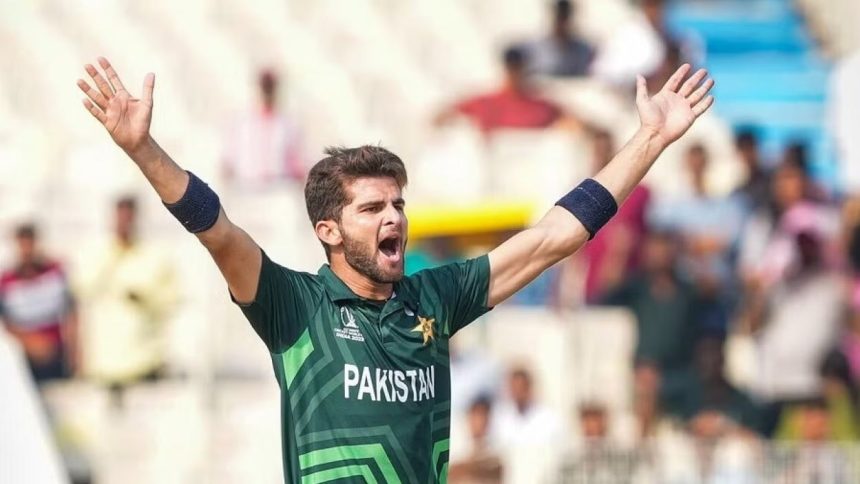 Shaheen Afridi 100 wickets