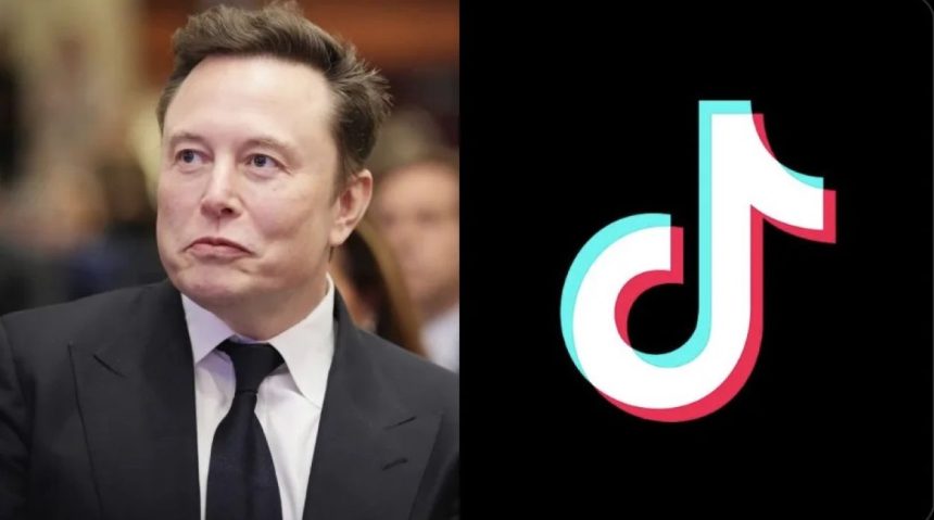 TikTok Sale Elon Musk