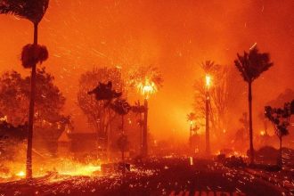 Los Angeles Wildfires