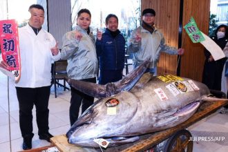 Tokyo tuna auction