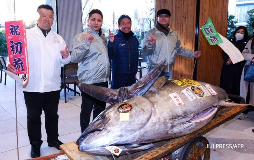 Tokyo tuna auction