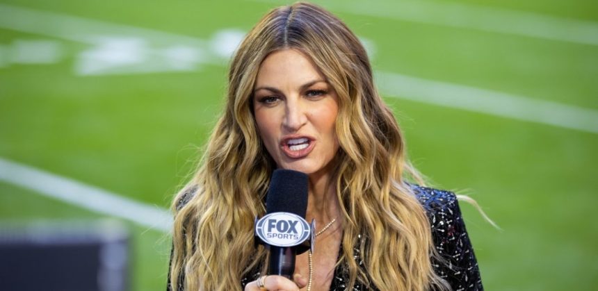 Erin Andrews Super Bowl