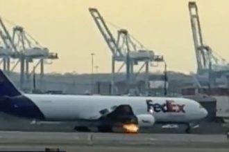 FedEx Plane bird strike