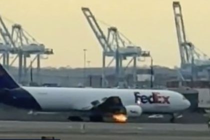 FedEx Plane bird strike