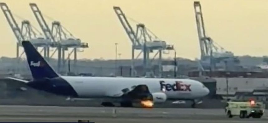 FedEx Plane bird strike