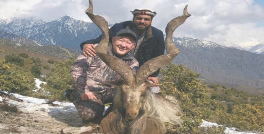 Trophy near Pakistan's Chitral Gol National Park (CGNP)