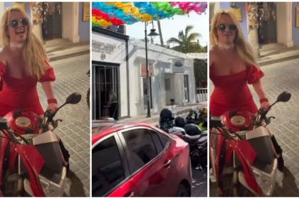 Britney Spears Wilding video