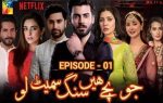 Jo Bachay Hain Sang Samait Lo