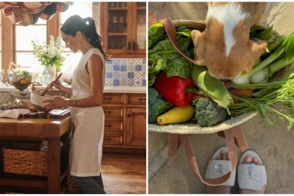Meghan Markle garden backlash