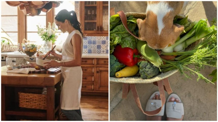 Meghan Markle garden backlash