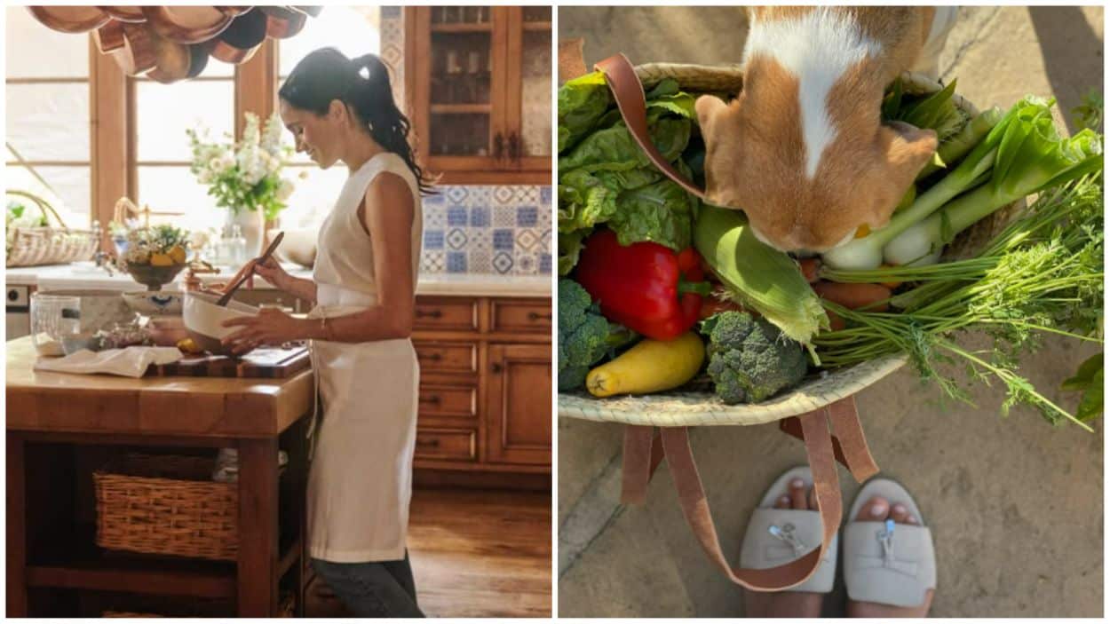 Meghan Markle garden backlash
