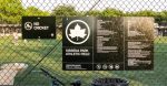 Kissena Park assault 2025