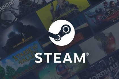 Steam data leak
