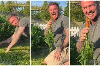 David Beckham carrot Instagram