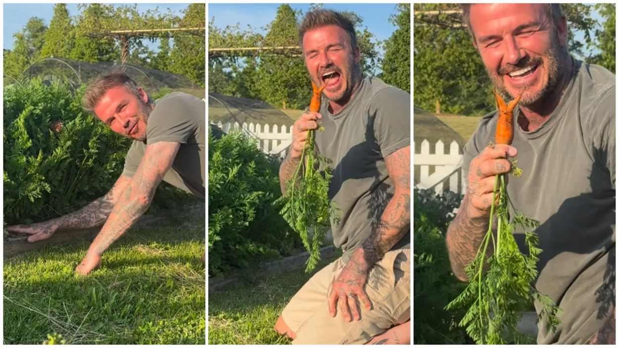 David Beckham carrot Instagram