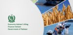 Pakistan Economic Survey 2024–25