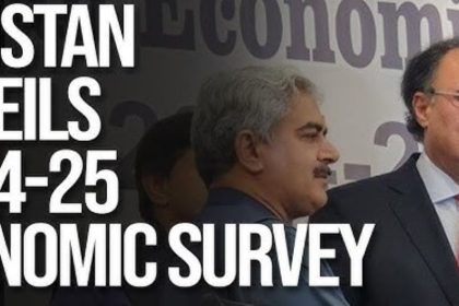 Pakistan Economic Survey 2024-25