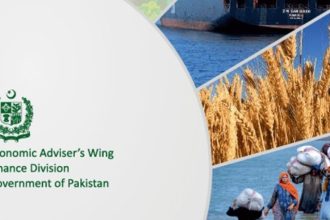 Pakistan Economic Survey 2024–25