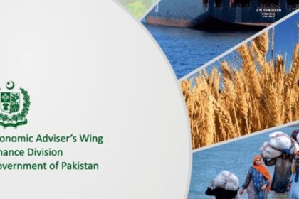 Pakistan Economic Survey 2024–25