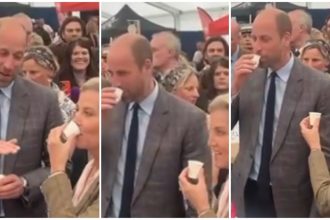 Prince William at 2025 Royal Cornwall Show