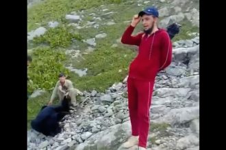Gilgit Black Bear Killing in Tangir