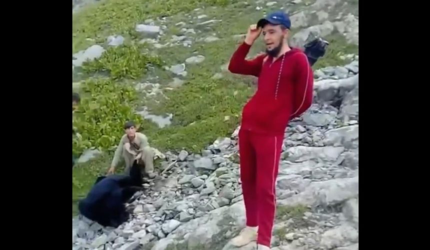 Gilgit Black Bear Killing in Tangir