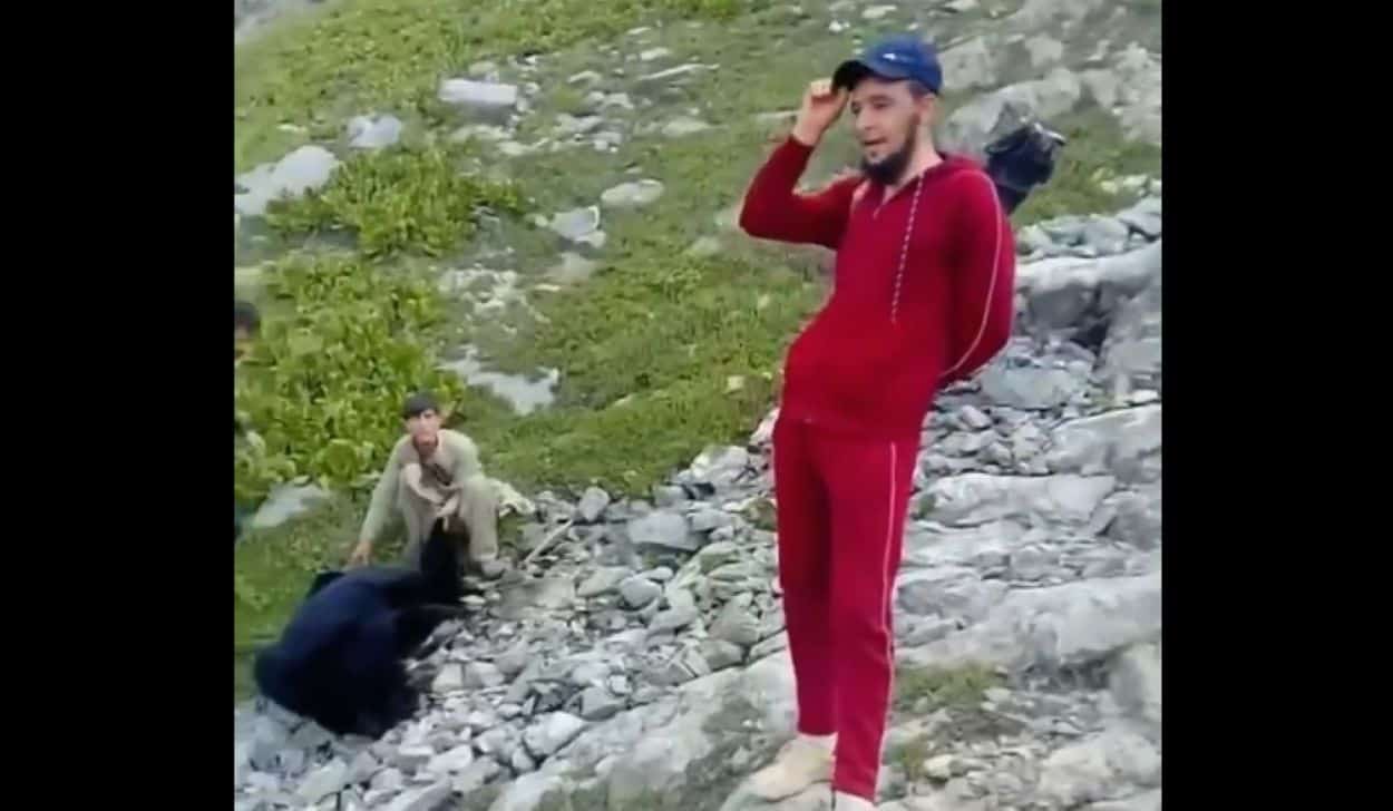 Gilgit Black Bear Killing in Tangir