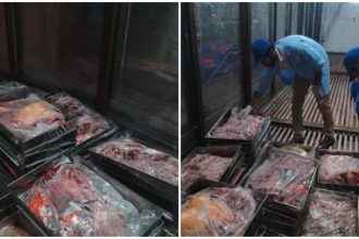 Islamabad donkey meat raid