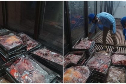 Islamabad donkey meat raid