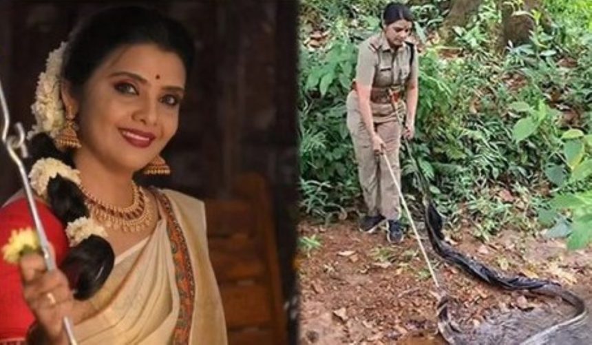 Kerala Forest Officer’s King Cobra Rescue